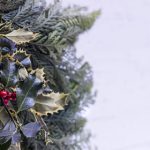 唐宋诗词在线 b6uiref5