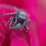 禁漫天堂发布页 mehgi5wc